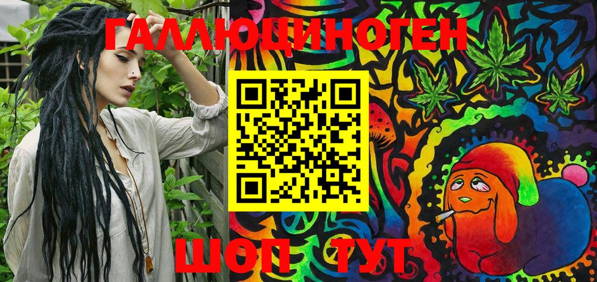 Псилоцибиновые грибы Psilocybine cubensis  как найти   Златоуст  Псилоцибиновые грибы MAGIC MUSHROOMS  Вход с VPN 